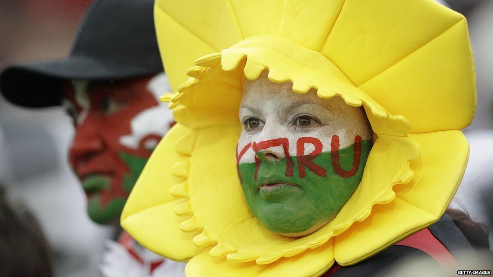 Wales fan