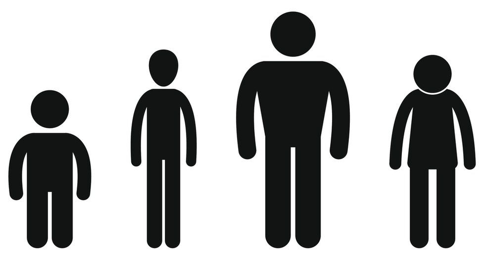 Human Height Photos and Images