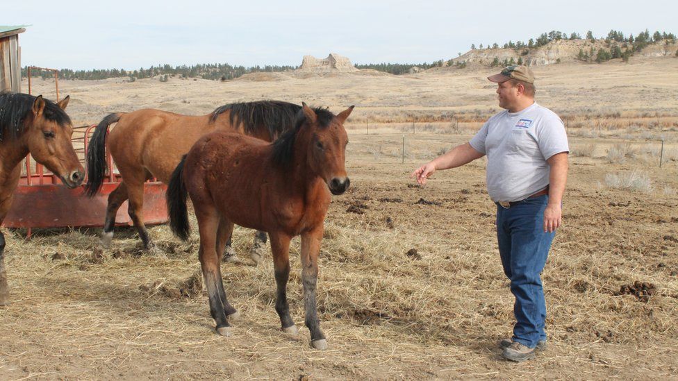 Bret Bowen works with his horses in Colstrip, Montana