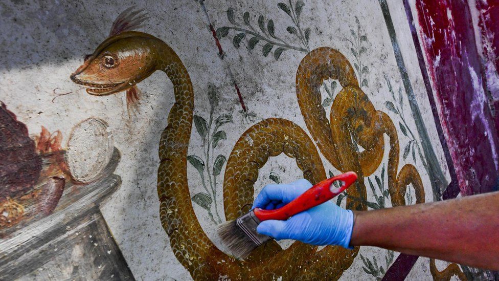 A gloved worker gently brushes a mural of a snake, flanked by greenery, on a wall in Pompeii