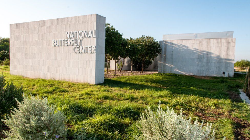 National Butterfly Center