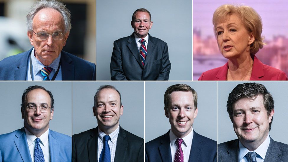 Peter Bone MP, Philip Hollobone MP, Andrea Leadsom MP, Michael Ellis MP, Chris Heaton-Harris MP, Tom Pursglove MP and Andrew Lewer MP