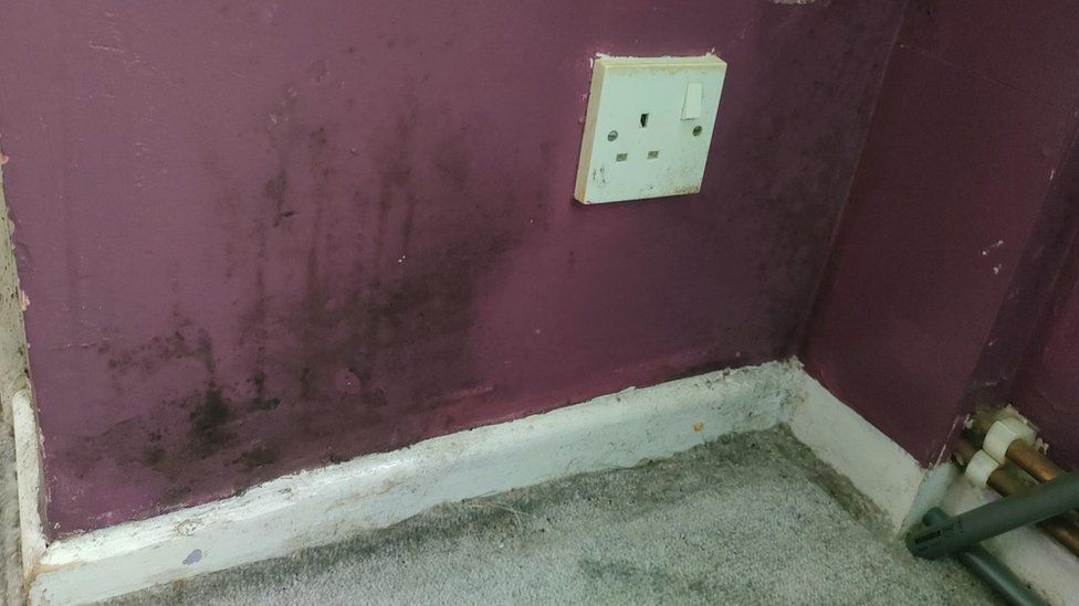 Mould on the walls of the woman's home in Ballymena