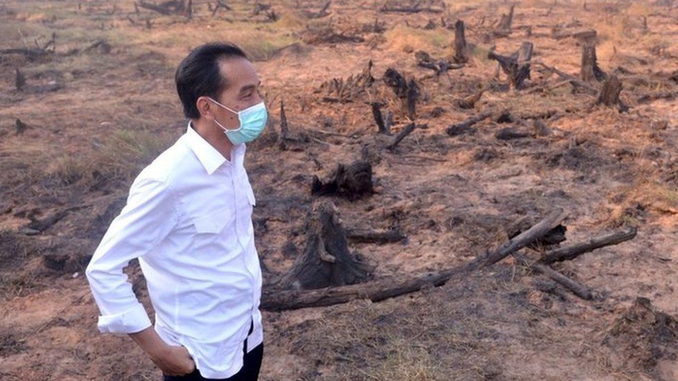 Indonesian President Joko Widodo visits a burned forest in Central Kalimantan province (23 Sept 2015)