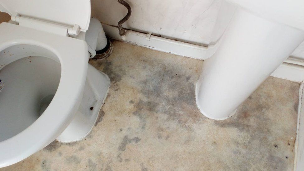 A mouldy toilet floor
