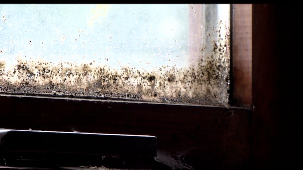 Mould on a window in the woman's home in Ballymena