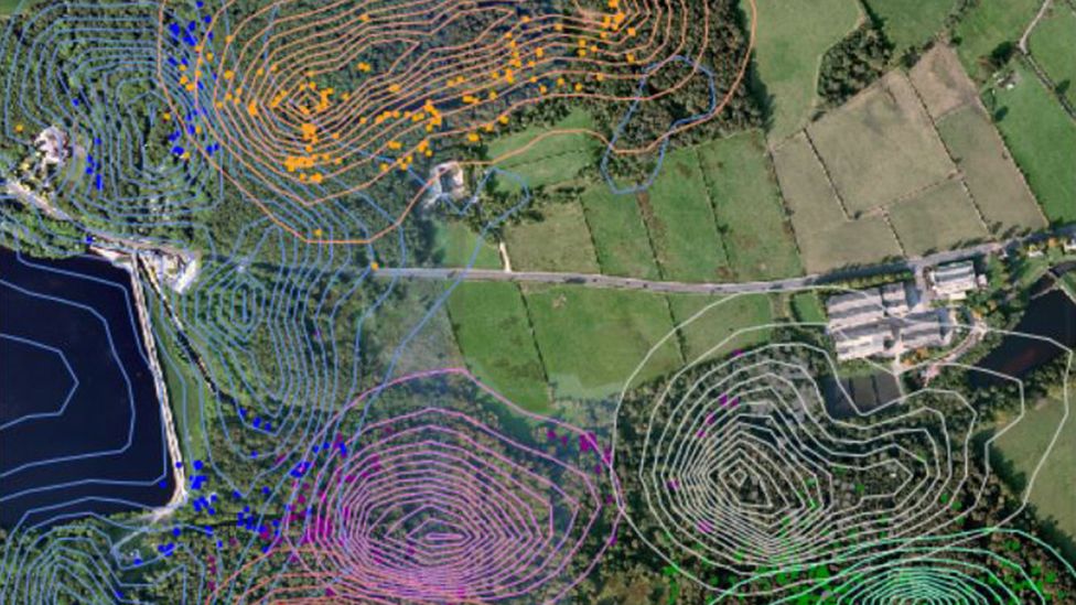 Map of bird flocks