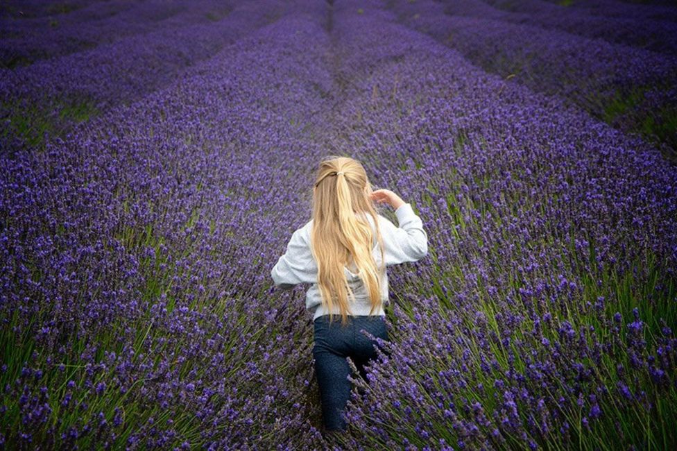 Your pictures on the theme of 'making tracks' - BBC News