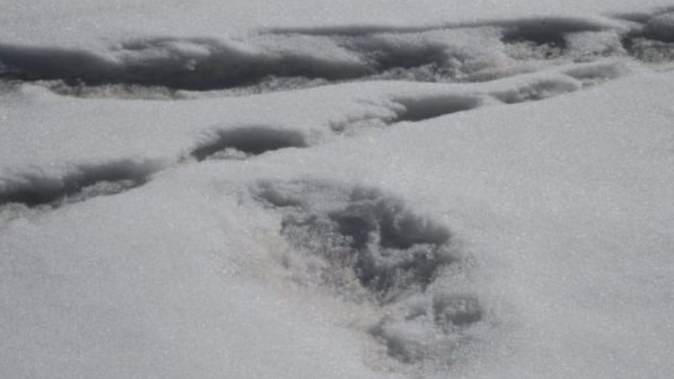 India Army said the picture shows the footprint of the Yeti