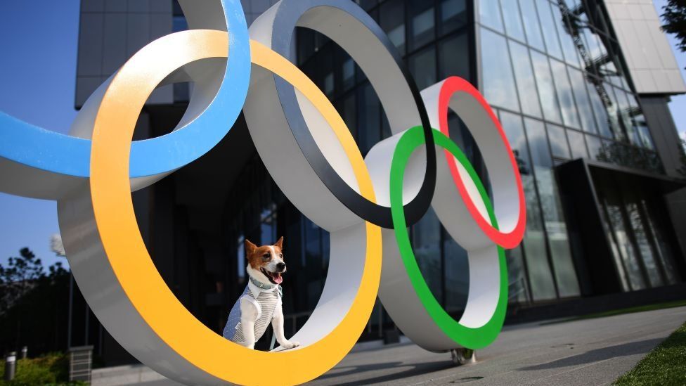 Olympic-rings-with-dog.