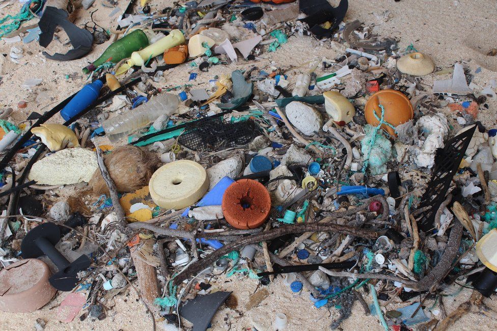 A close-up image of rubbish found on Henderson Island.