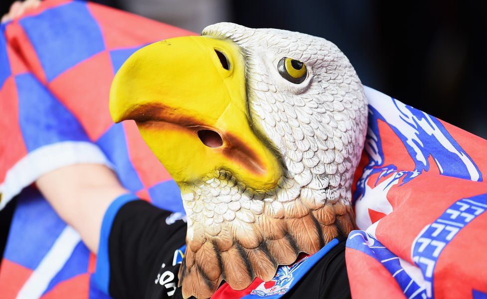 Gallery  Crystal Palace FC Supporters Website  The Holmesdale Online