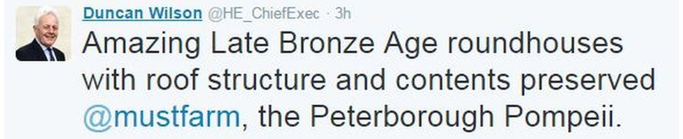 'Amazing Late Bronze Age roundhouses with roof structure and contents preserved, the Peterborough Pompeii'
