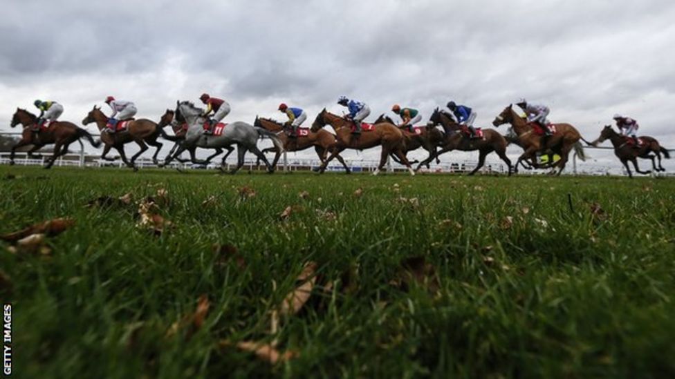 The Series: Plans for team horse racing competition in 2019 - BBC Sport