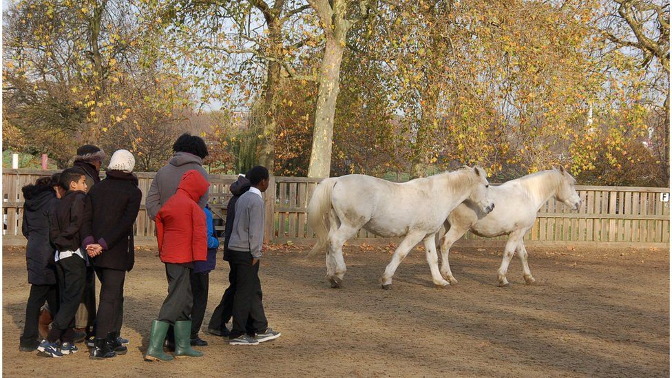 Children and horses in Hyde Park
