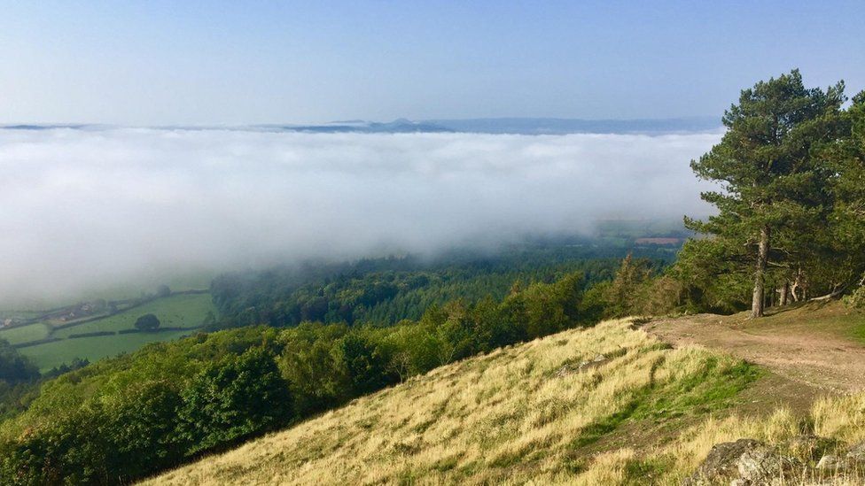 Mist across countryside