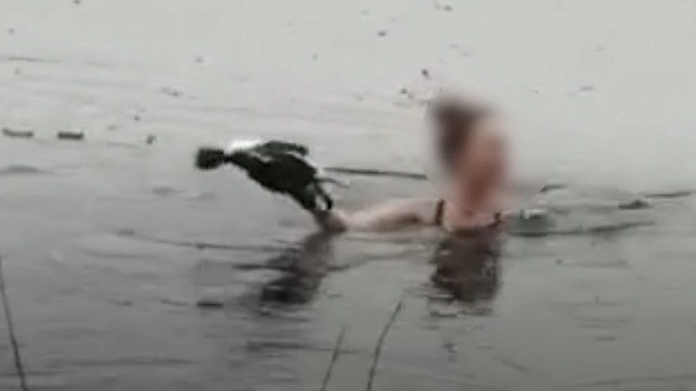 The woman jumped into the water and smashed her way through thick ice to reach the stricken grebe.