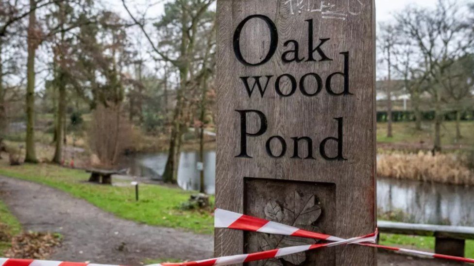 Oakwood Pond, Harlow