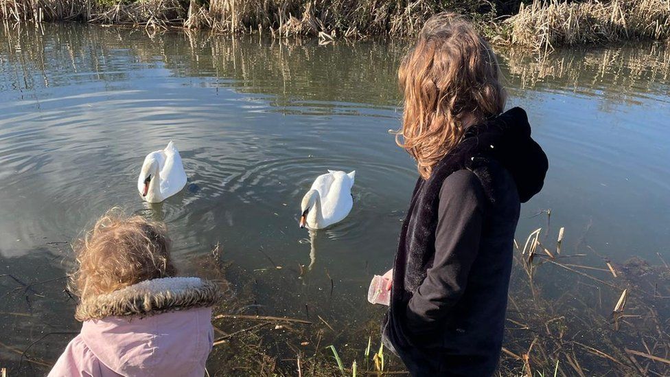Children watching swans