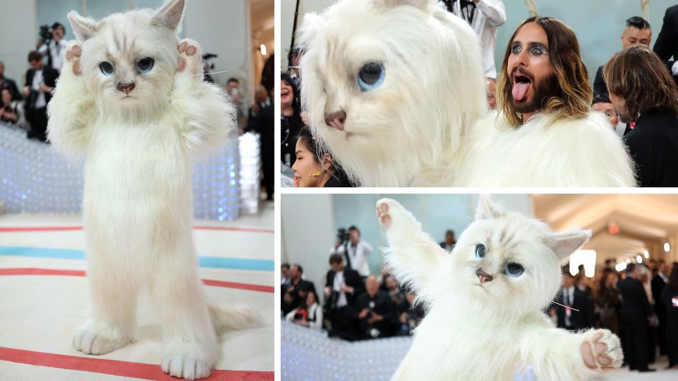 آرد لتو، با لباس شوپت گربه کارل لاگرفلد، در جشن مت گالا 2023 شرکت می کند. 