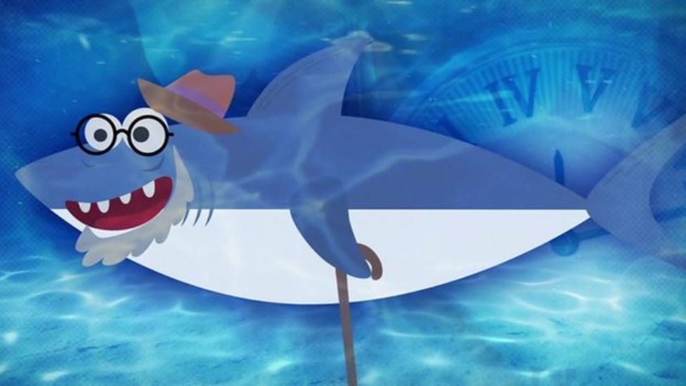 Basilosaurus Scientists discover fossil of 35millionyearold ancient