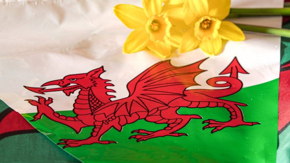 Welsh flag and daffodils