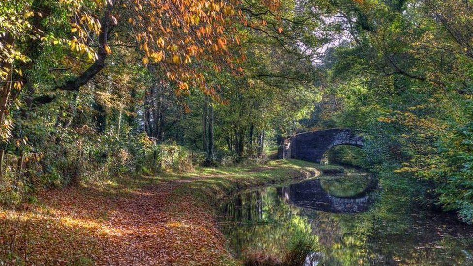 Your Pictures: 21-27 October 2015 - BBC News