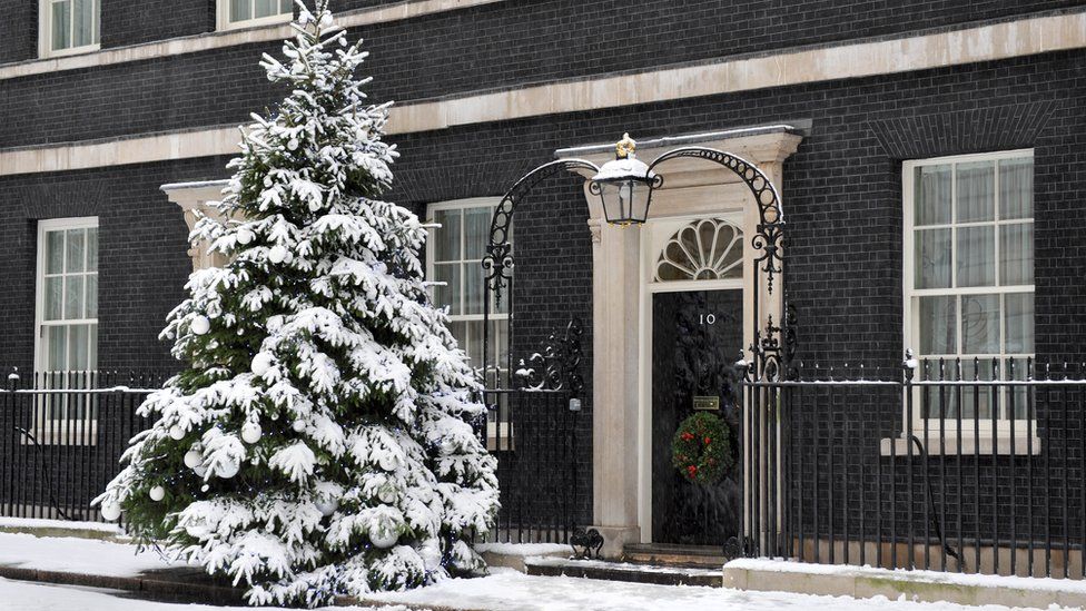 Christmas tree outside 10 Downing Street in the snow