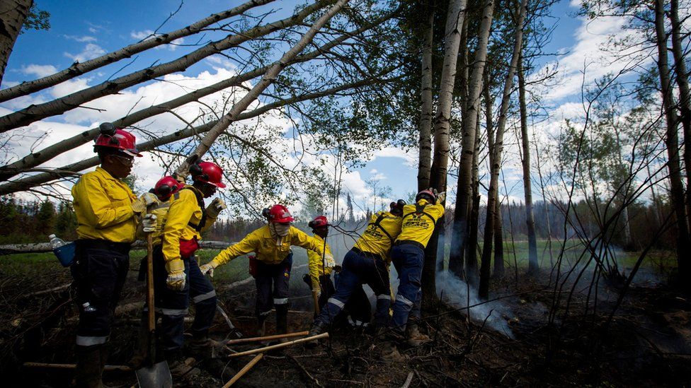 Пожарные и вспомогательный персонал убирают сгоревшие деревья