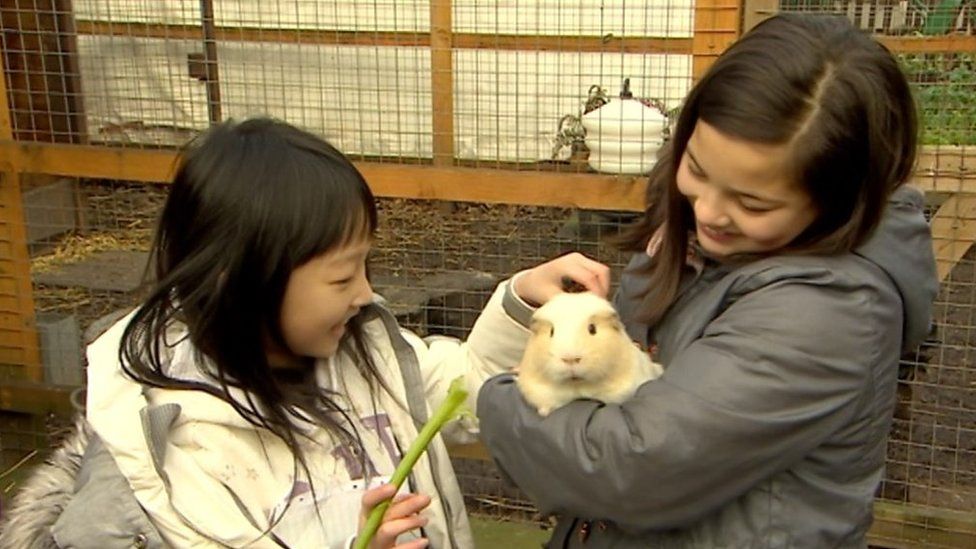 Children with a guinea pig