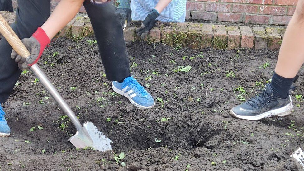 Children from Brook Street School planting