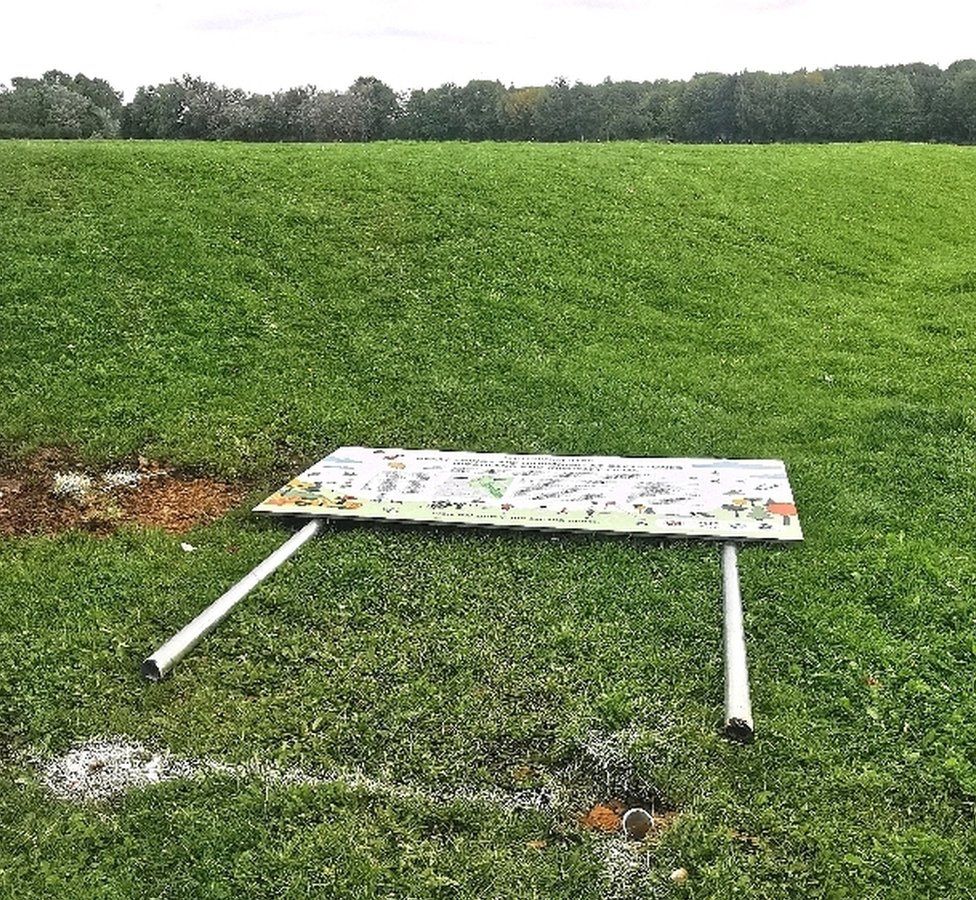 Constant vandalism sees green space project abandoned in Grangetown ...