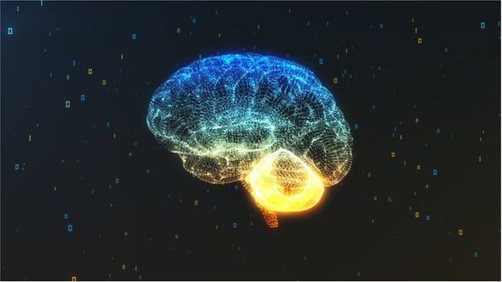 Image of the human brain
