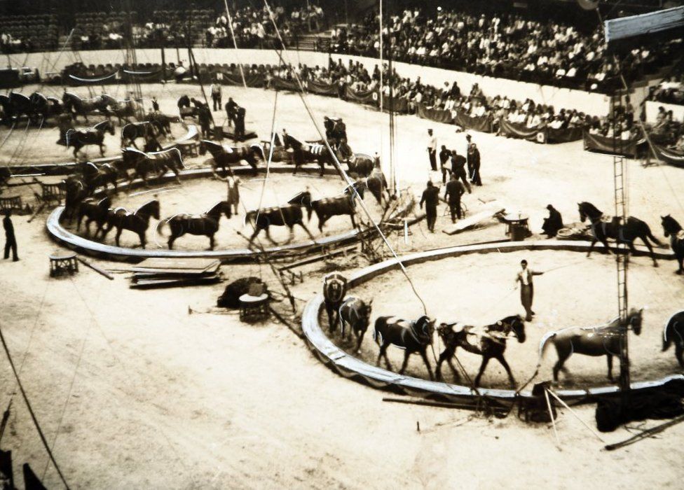 Damoo Dhotre performing as ring master with horses
