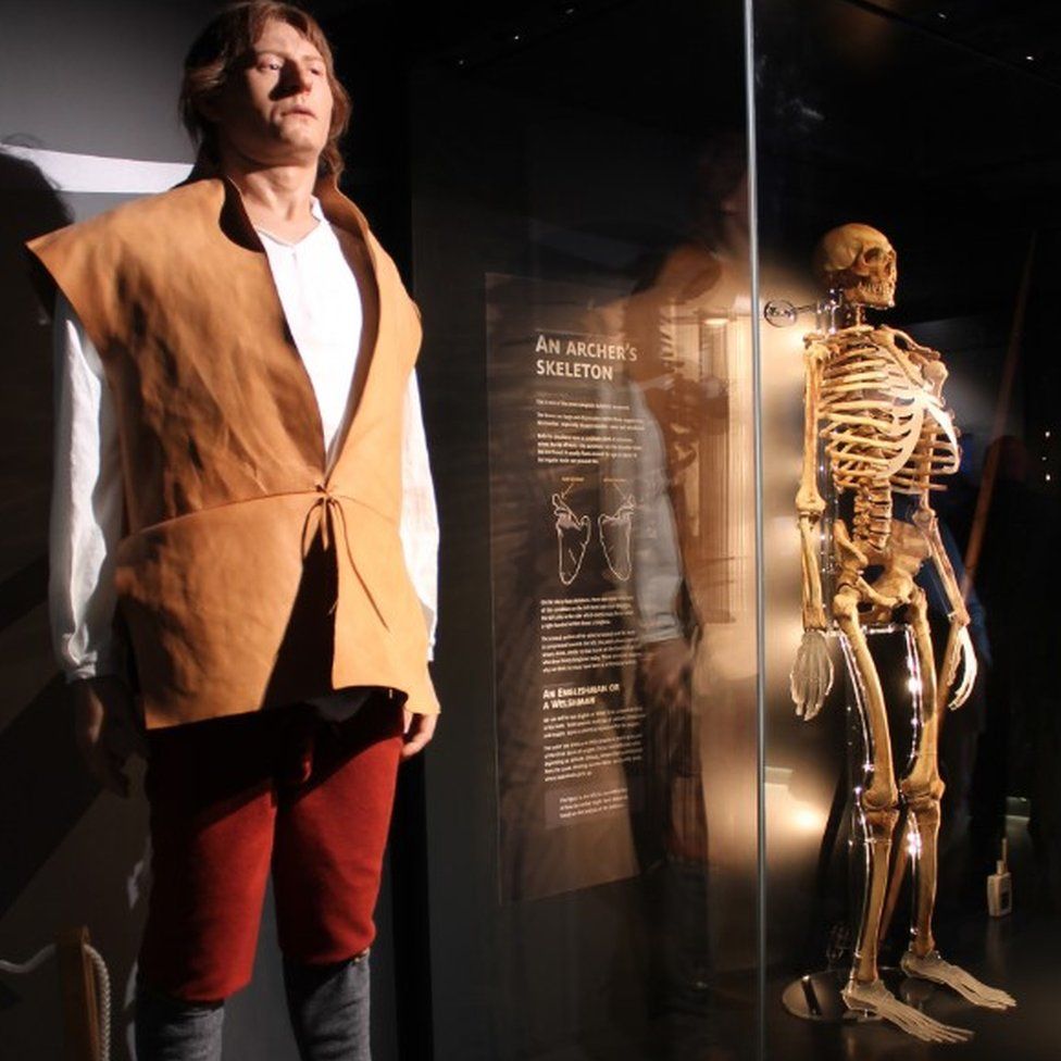 Archer model and skeleton