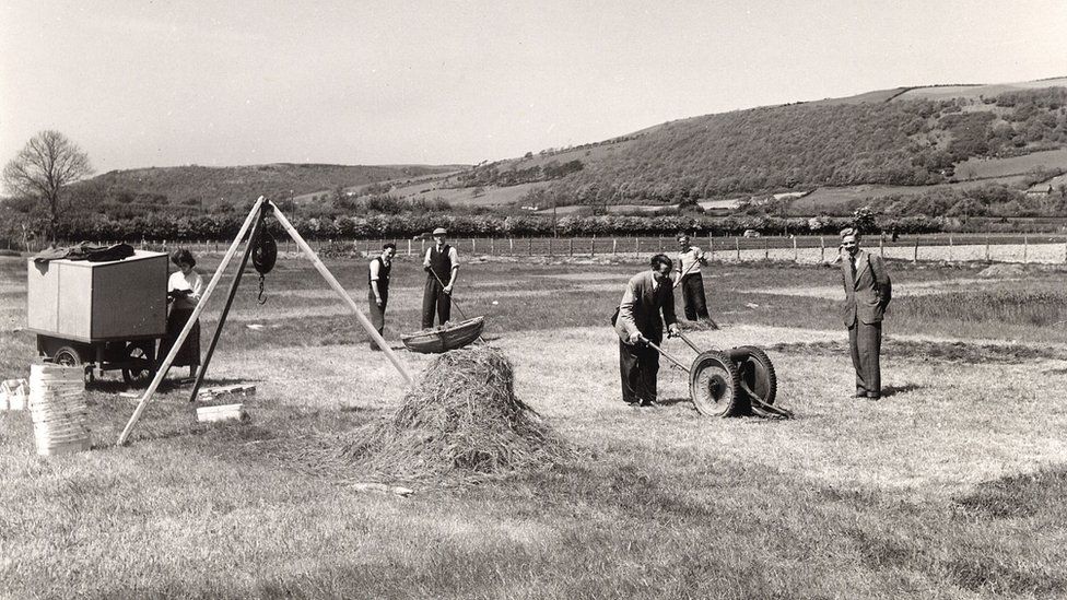 Experiments being carried out in a field in 1954
