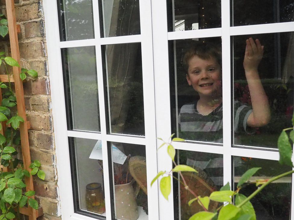 Rowan looking through a window