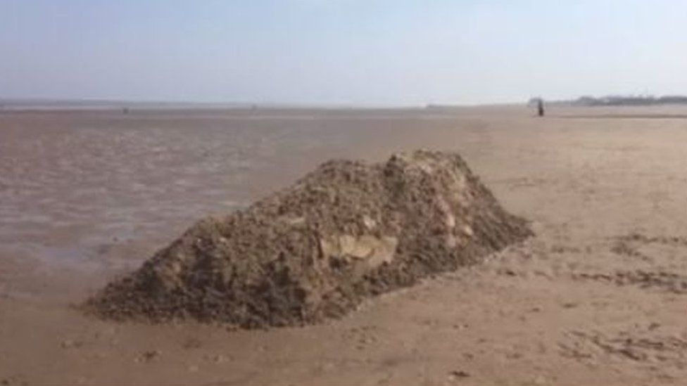 East Lindsay District Council said the Minke whale had been covered by sand to stop it getting washed back into the sea