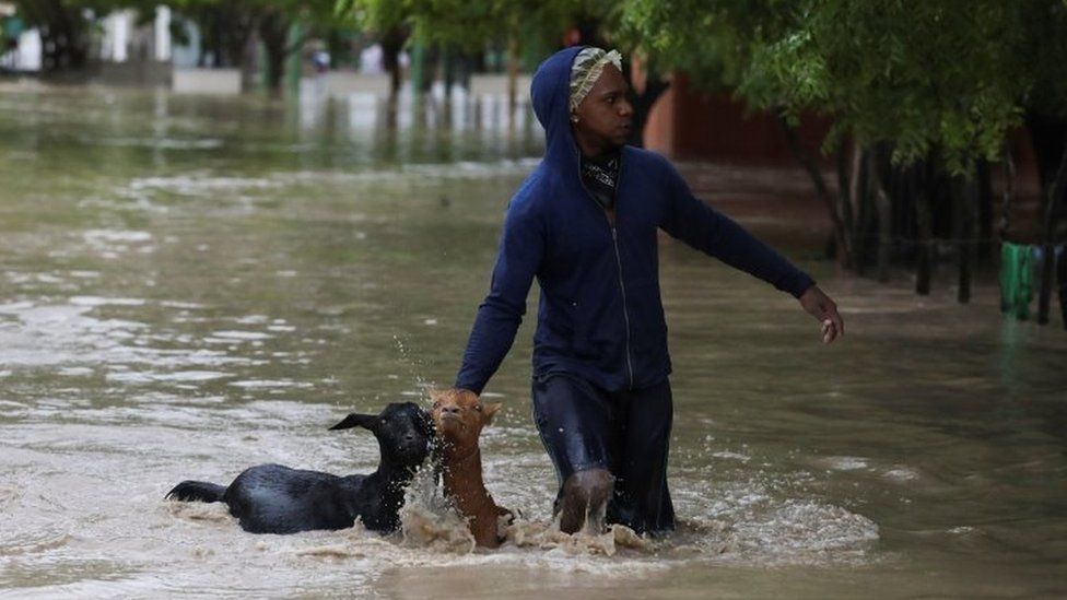 A man walks with two goats through a flooded street after the passage of Storm Laura, in Azua, Dominican Republic August 23, 2020.