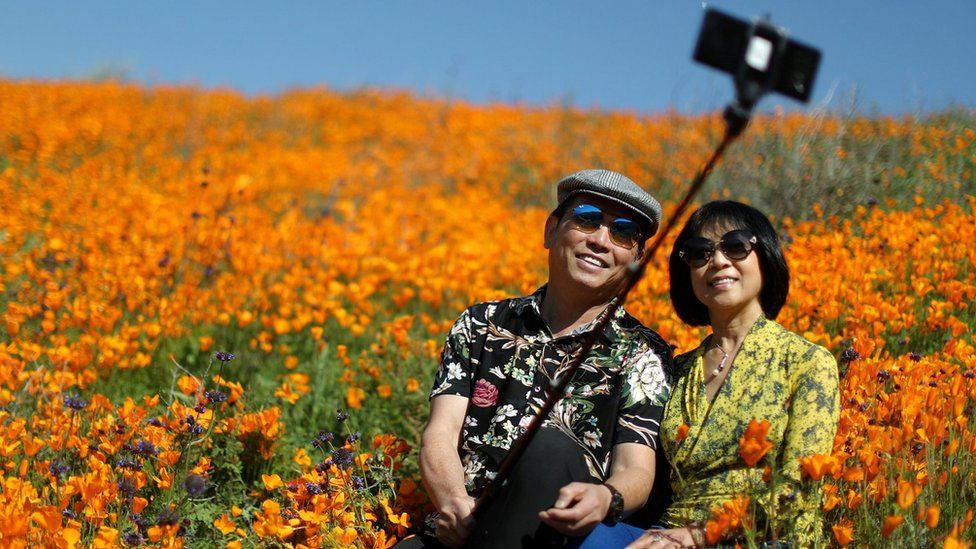 A couple takes a selfie photo in a super bloom of poppies in Lake Elsinore, California