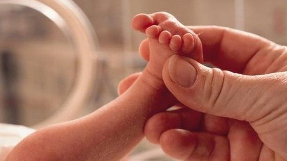 Hand holding a baby's foot