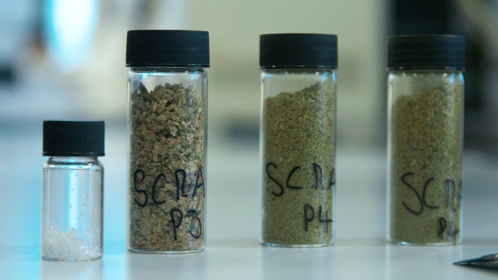 Samples of Spice