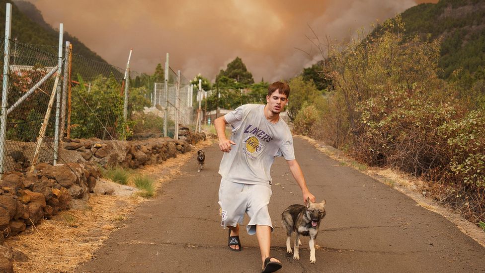 A man walks away with his dogs as a forest fire in Candelaria, Tenerife, approaches
