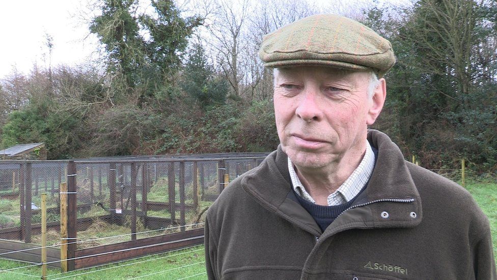 Childhood memory inspires return of grey partridge to NI - BBC News