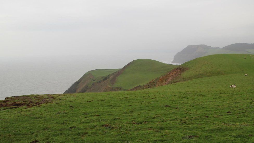 Dorset coast at Doghouse Hill