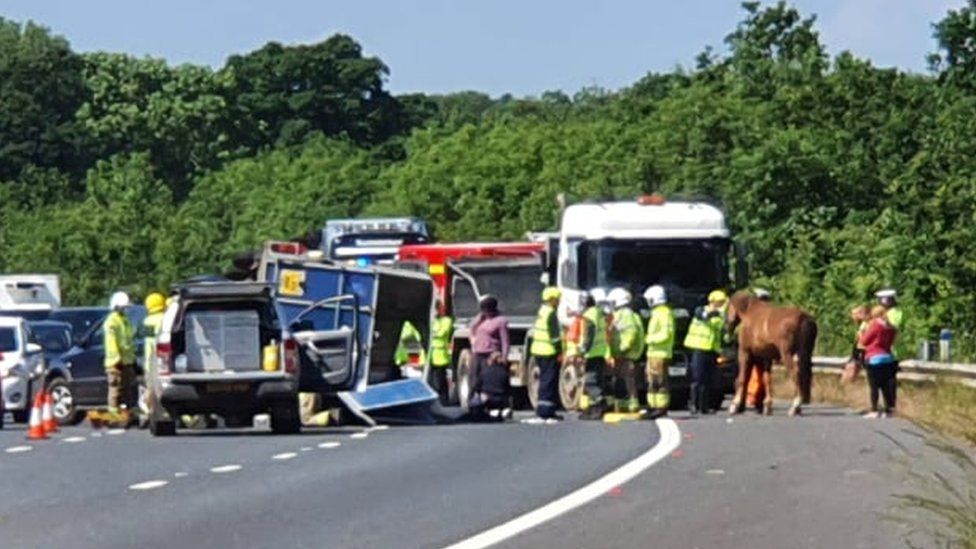 Horse dies after Hampshire motorway trailer crash BBC News