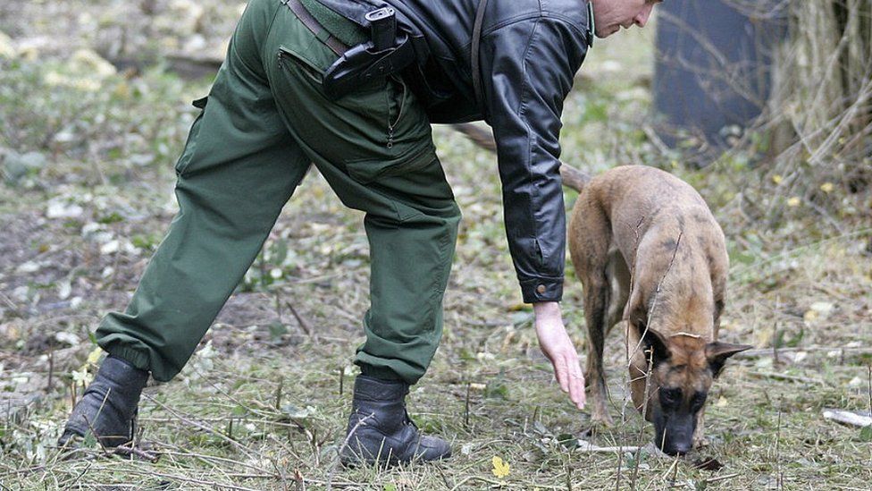 German police sniffer dog (archive pic)