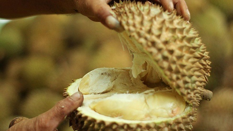 A Durian fruit