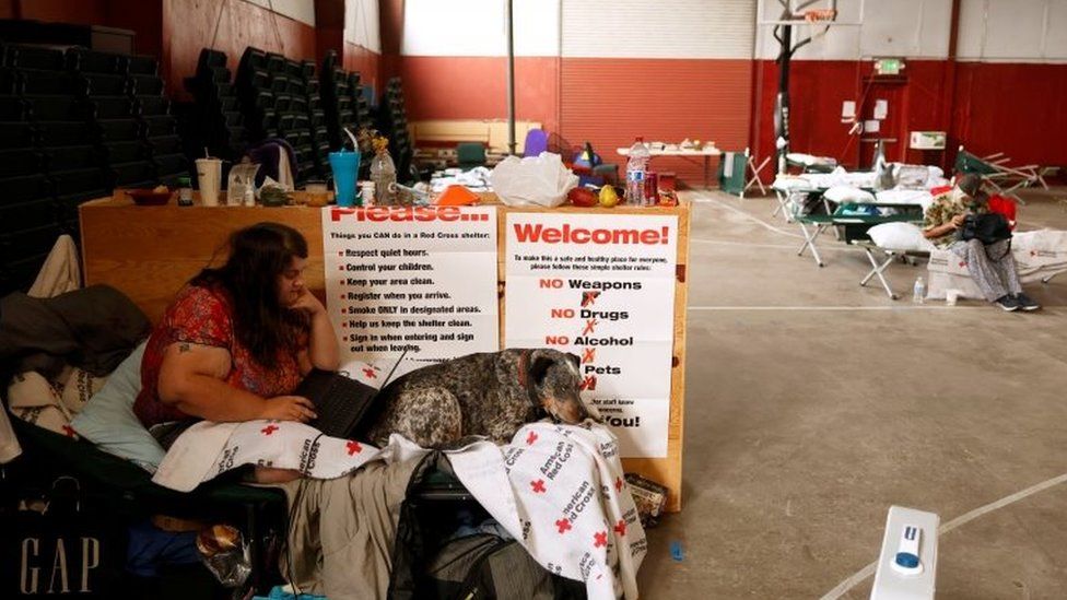 Jack Romero uses her laptop while sitting with her dog Rascal at an evacuation centre