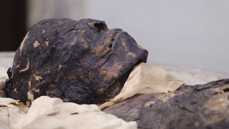 The mummy's head at Maidstone Museum